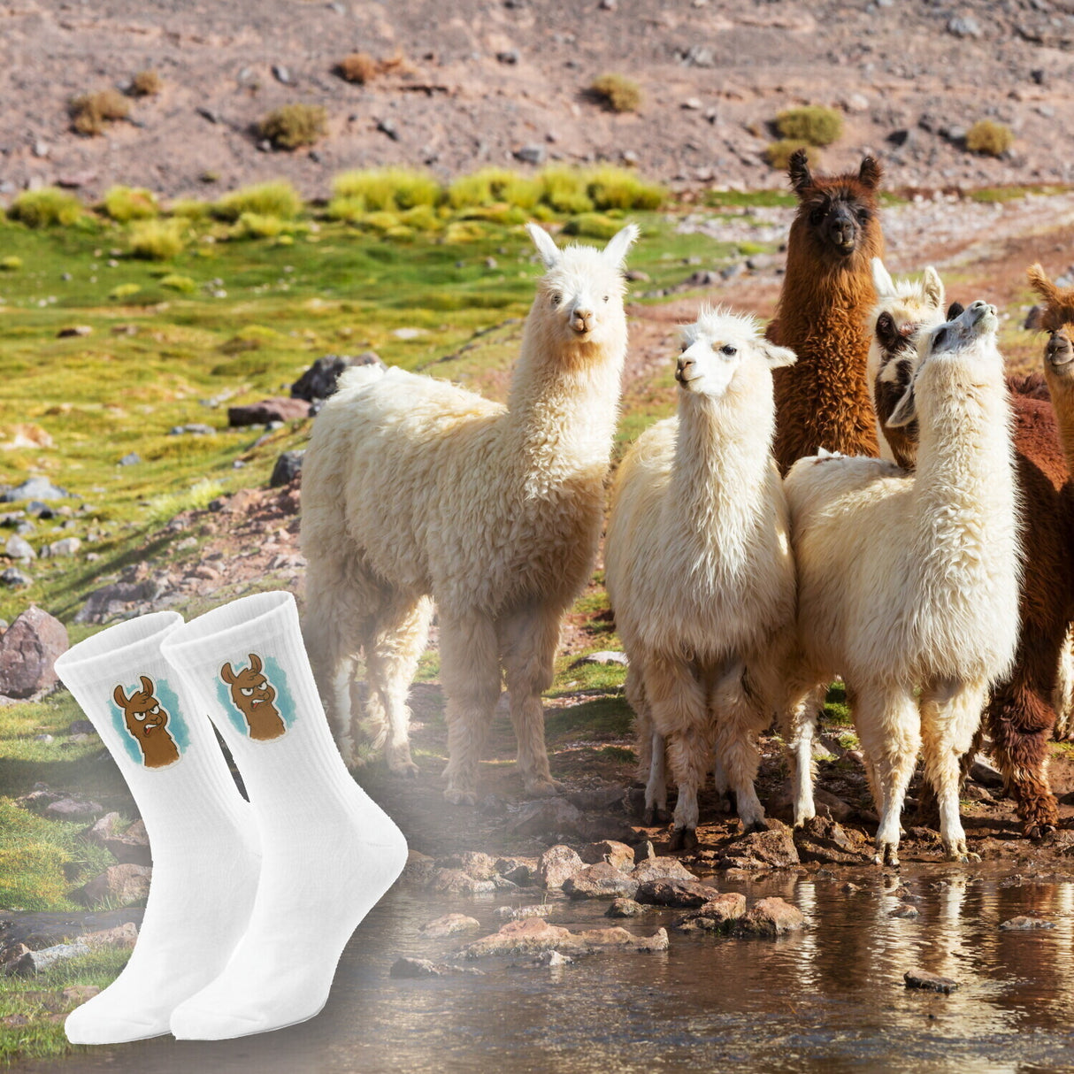 epicsocks Llama Expressions Wütendes Lama Socken in 37-41 im Paar