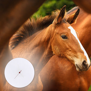 Pferdeträume Pferd Vollmond im Wald Wanduhr für Pferdefans