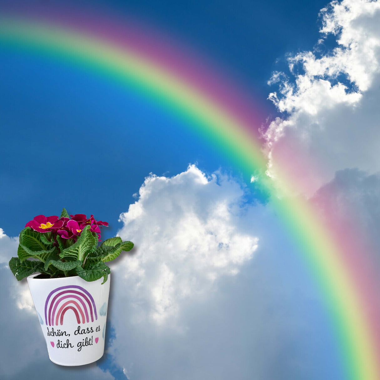 Regenbogen Blumentopf Schön, dass es dich gibt