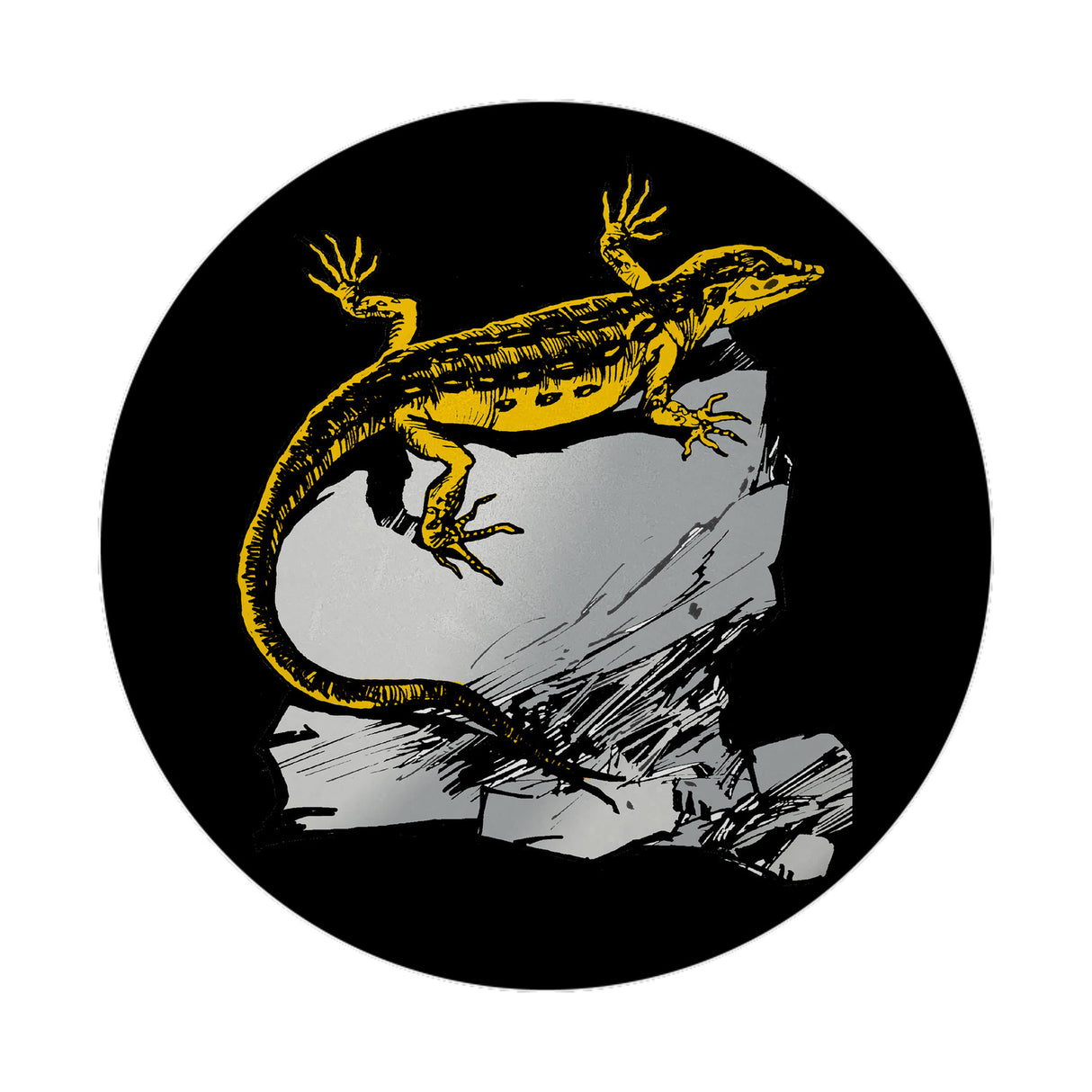 Eidechse Magnet rund