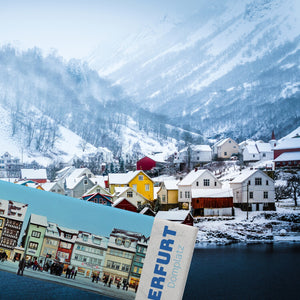 streetline Erfurt Domplatz Panorama Souvenir Magnet
