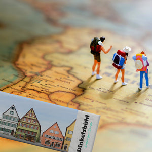 streetline Dinkelsbühl Segringer Straße Panorama Souvenir Magnet