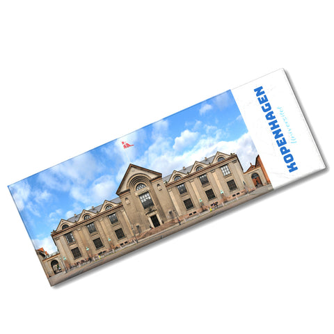streetline Kopenhagen Universitet Panorama Souvenir Magnet