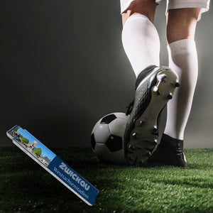 streetline Zwickau Westsachsenstadion Meterstab aus Holz