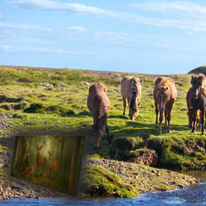 Tiere des Waldes Schreibtischunterlage 69x31cm XXL Mauspad