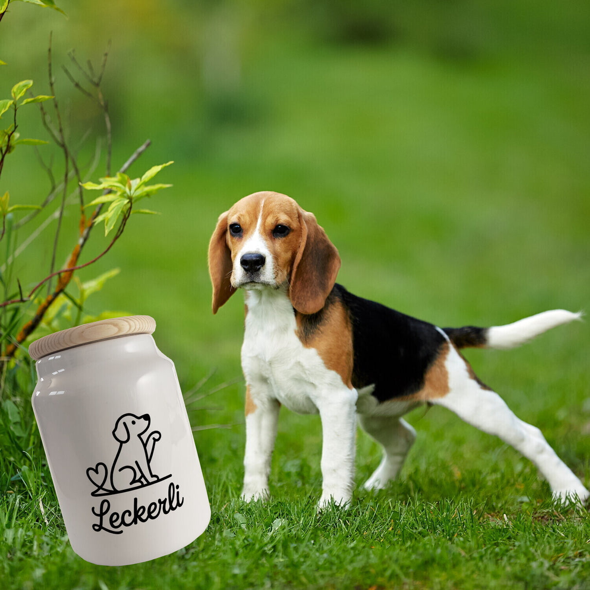 Hunde Leckerli Herz Keksdose für Haustierfreunde