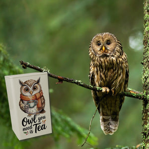 Owl You Need Is Tea TeeDose 900ml mit Aquarell Eule