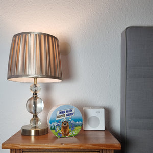 Murmeltier Spardose mit Spruch: Immer schön geerdet bleiben