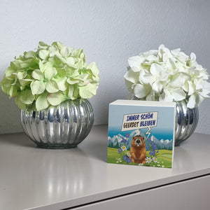 Murmeltier Spardose mit Spruch: Immer schön geerdet bleiben