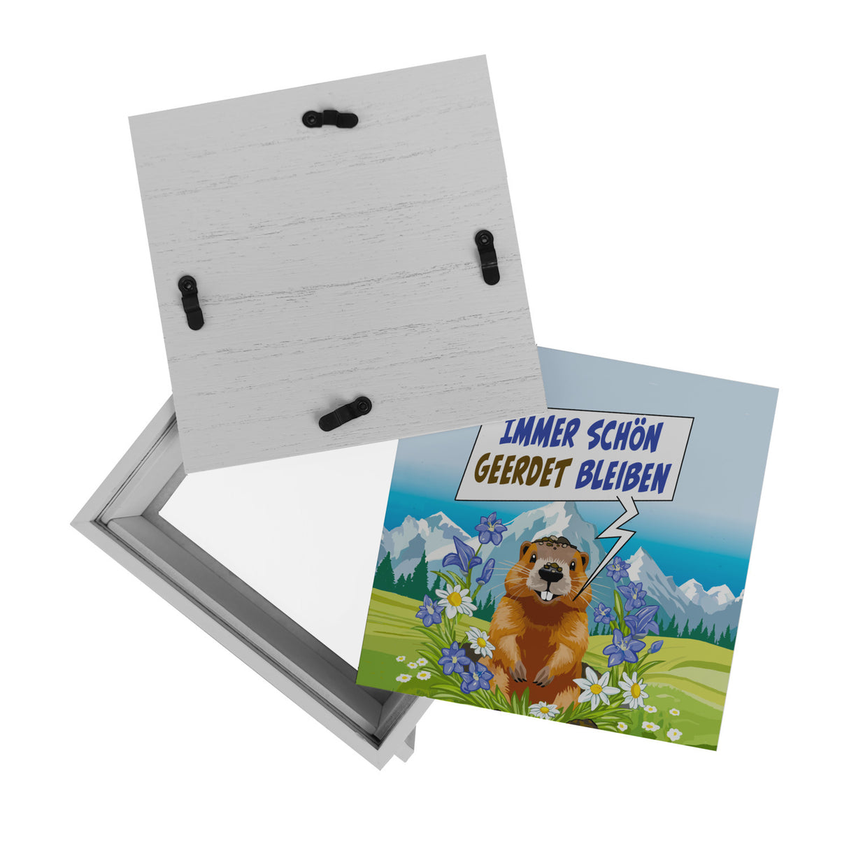 Murmeltier Spardose mit Spruch: Immer schön geerdet bleiben