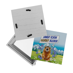 Murmeltier Spardose mit Spruch: Immer schön geerdet bleiben