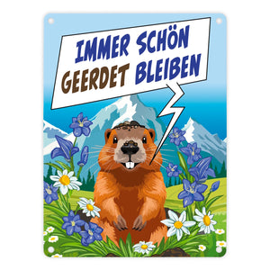 Murmeltier Metallschild in 15x20 cm mit Spruch: Immer schön geerdet bleiben