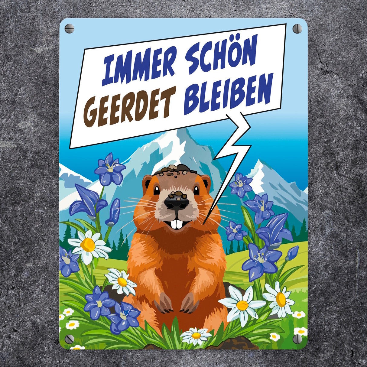 Murmeltier Metallschild in 15x20 cm mit Spruch: Immer schön geerdet bleiben