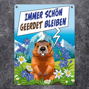Murmeltier Metallschild in 15x20 cm mit Spruch: Immer schön geerdet bleiben