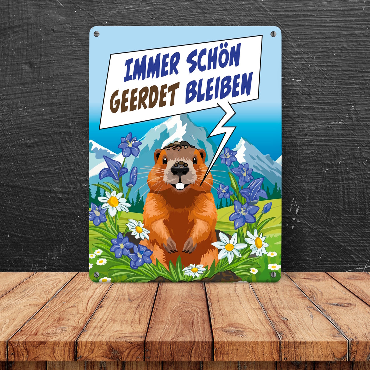 Murmeltier Metallschild in 15x20 cm mit Spruch: Immer schön geerdet bleiben