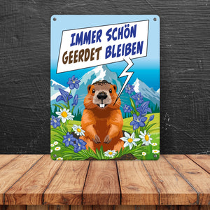 Murmeltier Metallschild in 15x20 cm mit Spruch: Immer schön geerdet bleiben