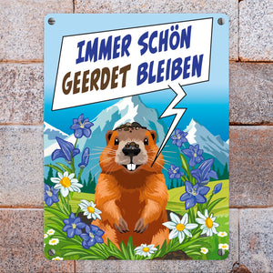 Murmeltier Metallschild in 15x20 cm mit Spruch: Immer schön geerdet bleiben