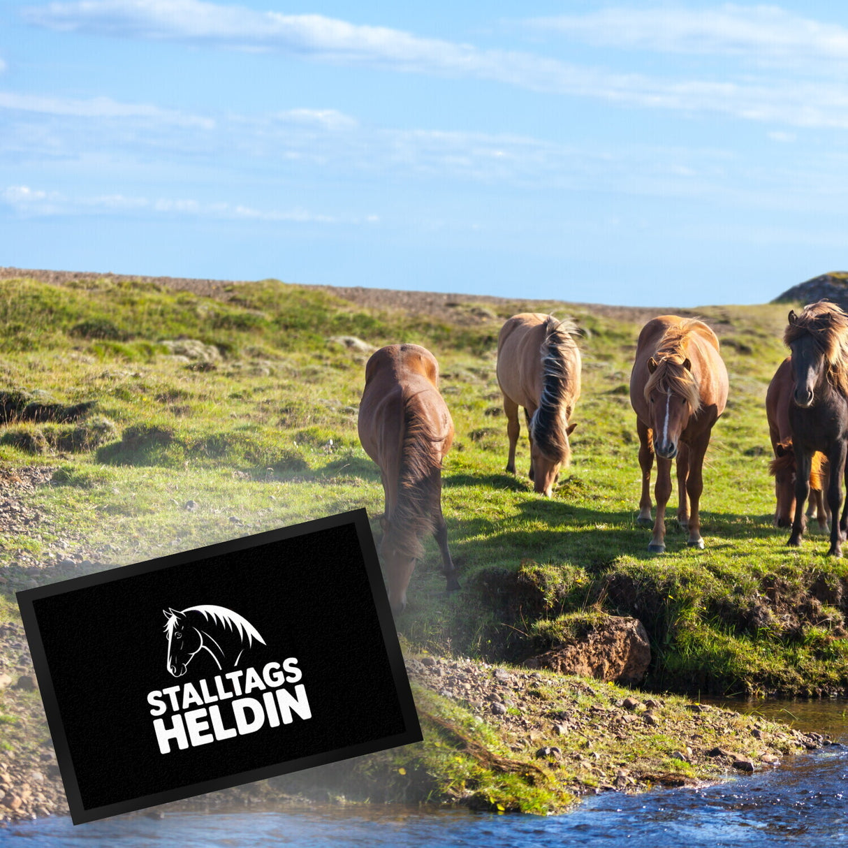 Pferdesilhouette Stalltags Heldin Fußmatte in 35x50 cm für Reiterinnen