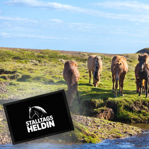 Pferdesilhouette Stalltags Heldin Fußmatte in 35x50 cm für Reiterinnen