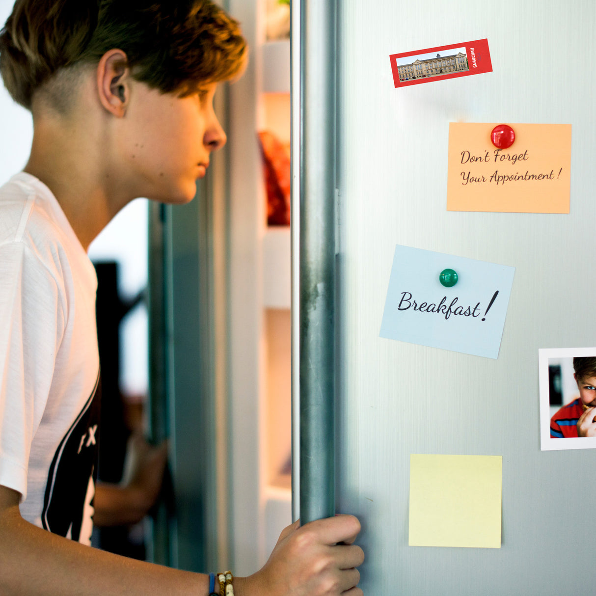 streetline Glauchau PALLA Panorama Souvenir Magnet