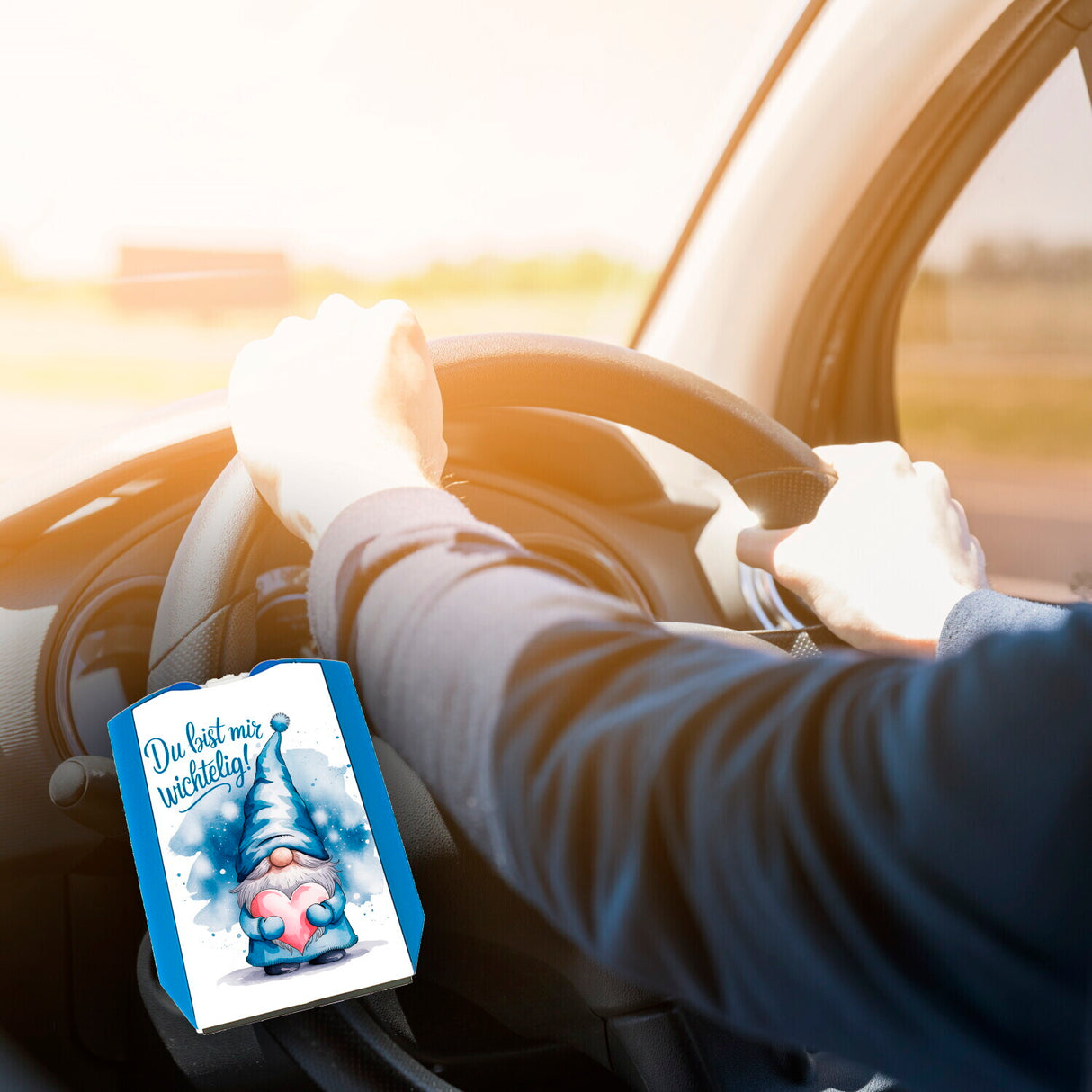 Du bist mir wichtelig! Wichtel Parkscheibe