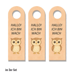 Hallo Ich bin wach Eule träumt Türhänger fürs Kinderzimmer