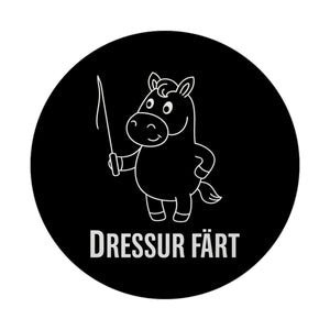 Pferd mit Peitsche Dressur Färt Magnet