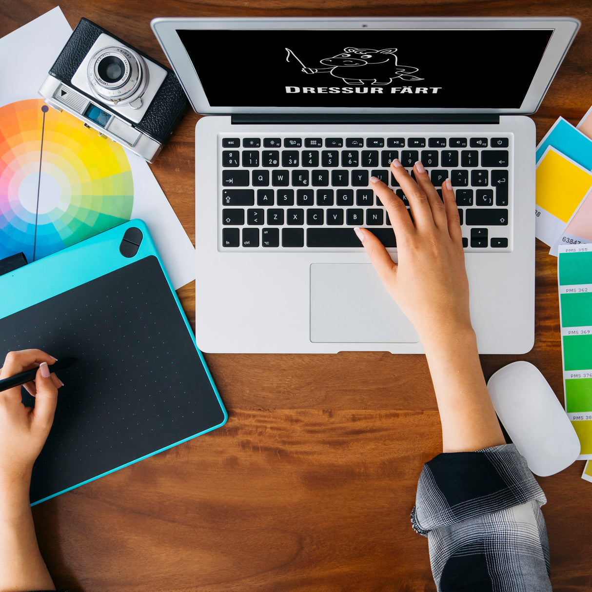 Pferd mit Peitsche Dressur Färt Magnet