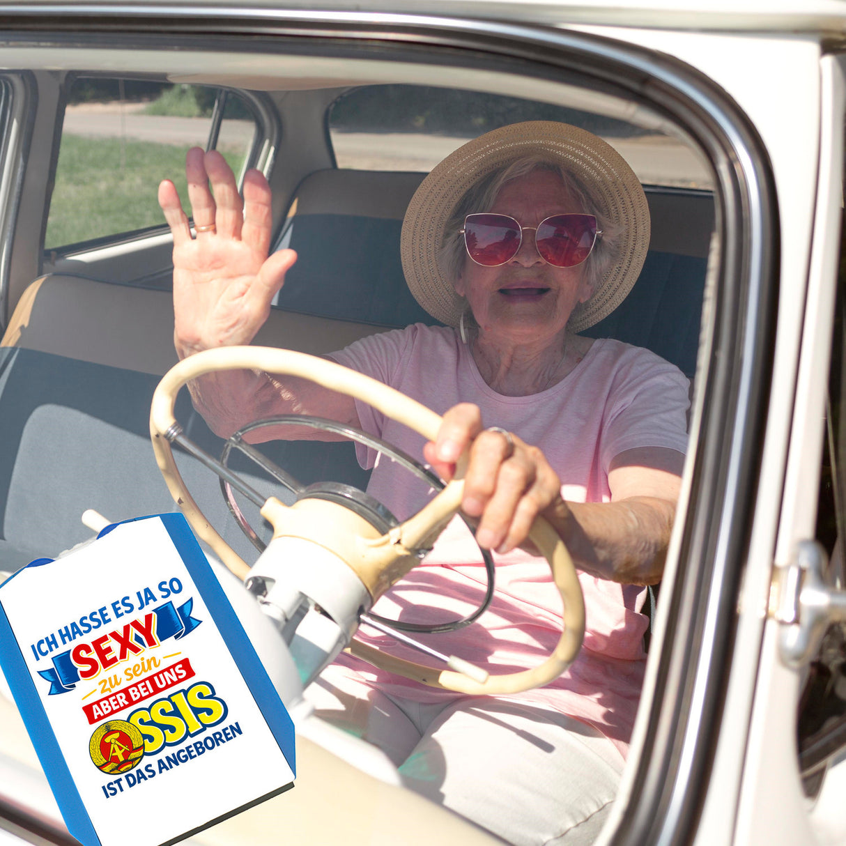 Ossis sind sexy DDR Parkscheibe