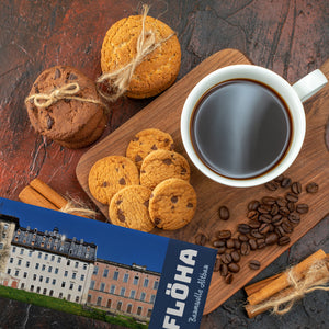 streetline Flöha Baumwolle Altbau Panorama Souvenir Magnet