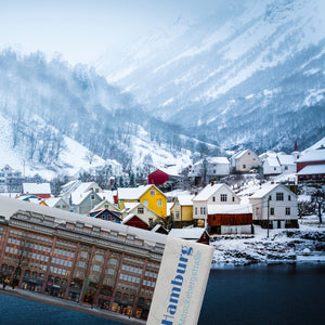streetline Hamburg Mönckebergstraße Panorama Souvenir Magnet