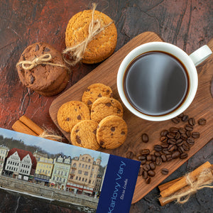 streetline Karlovy Vary Stara Louka Panorama Souvenir Magnet