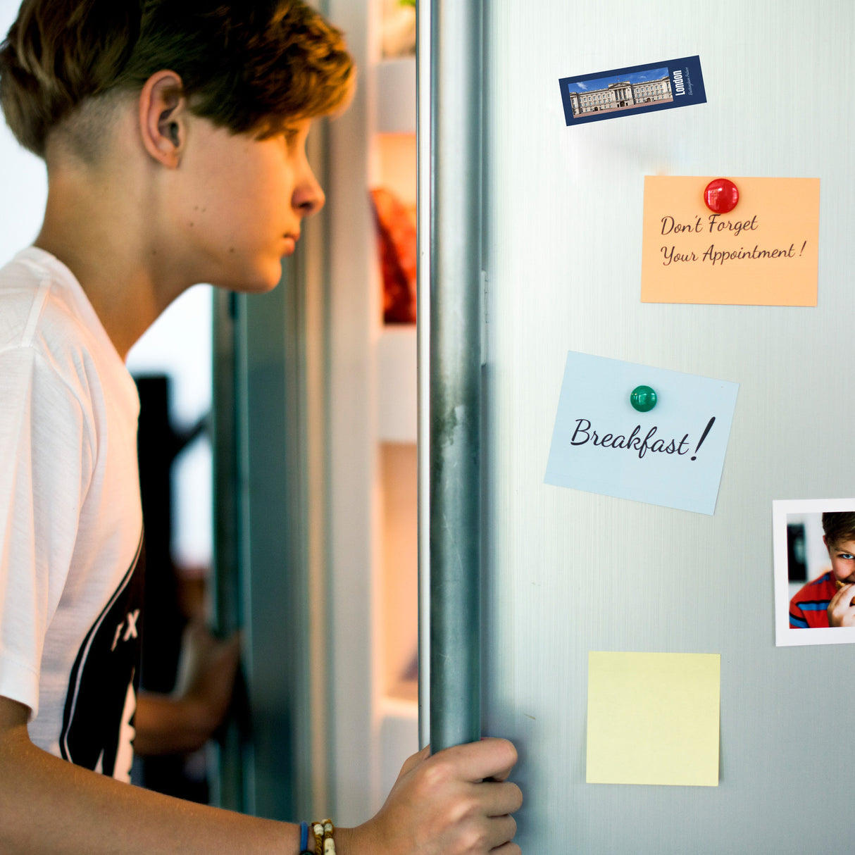 streetline London Buckingham Palace Panorama Souvenir Magnet