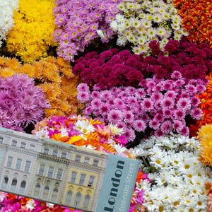 streetline London Museum Street Panorama Souvenir Magnet