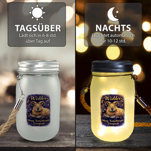 Widder Sternzeichen Cabybara Solarlicht für Astrologie Fans