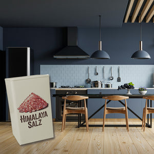 Himalaya Salz Dose 900ml im Vintage Style
