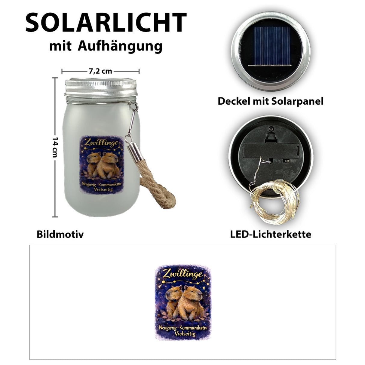 Zwilling Sternzeichen Cabybara Solarlicht für Astrologie Fans