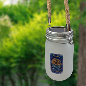 Fisch Sternzeichen Cabybara Solarlicht für Astrologie Fans