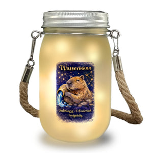 Wassermann Sternzeichen Cabybara Solarlicht für Astrologie Fans