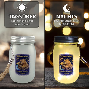 Wassermann Sternzeichen Cabybara Solarlicht für Astrologie Fans