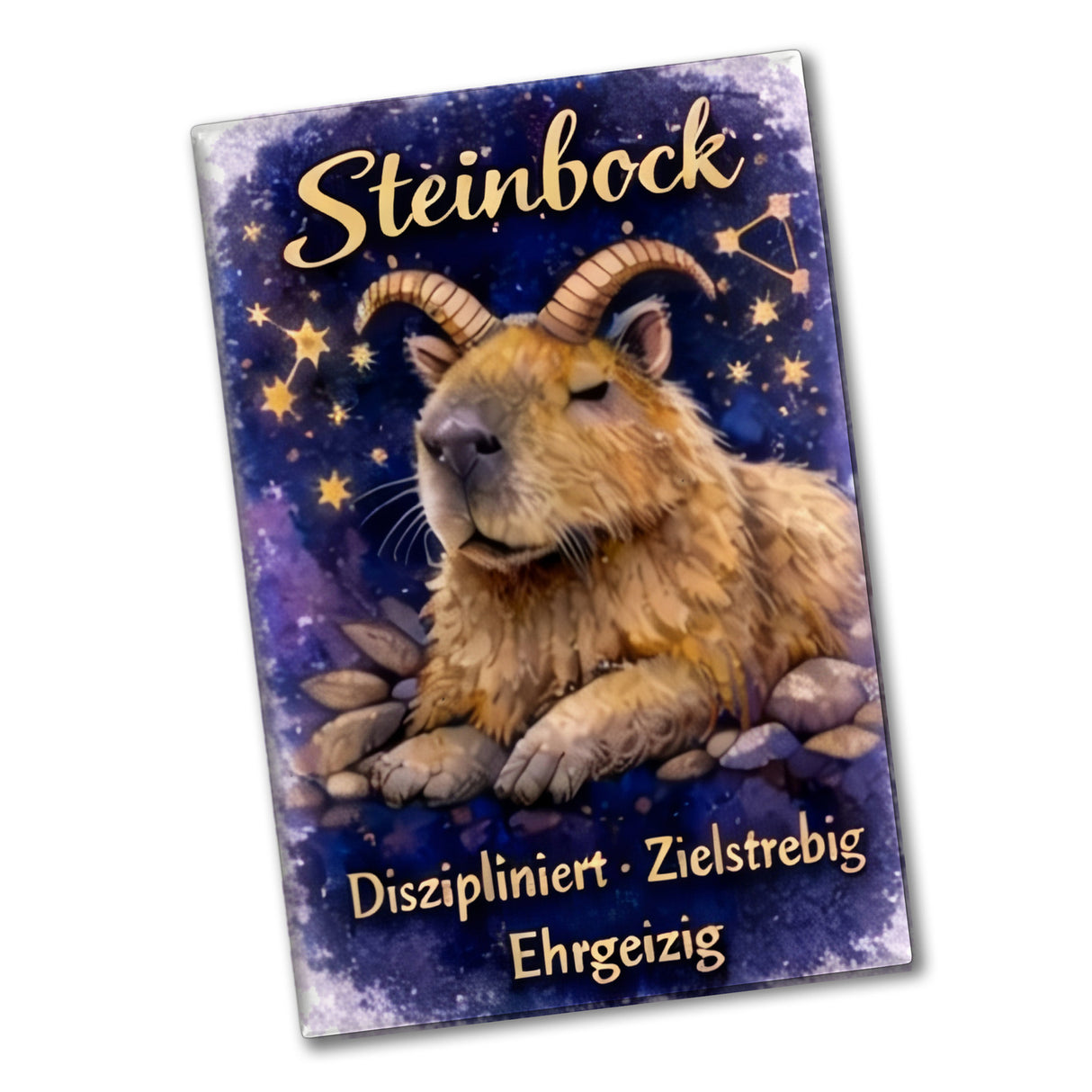 Steinbock Sternzeichen Cabybara Souvenir Magnet für Astrologie Fans