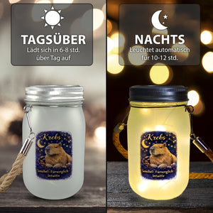 Krebs Sternzeichen Cabybara Solarlicht für Astrologie Fans