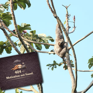 Faultier Laptop 404 Motivation not found Metallschild in 15x20 cm