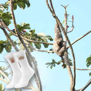 epicsocks Faultier Freude Socken in 37-41 im 6er Set in Geschenkdose im 6er Set in Geschenkbox