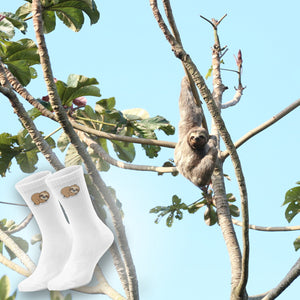 epicsocks Faultier Freude schlafendes Faultier Socken in 37-41 im Paar