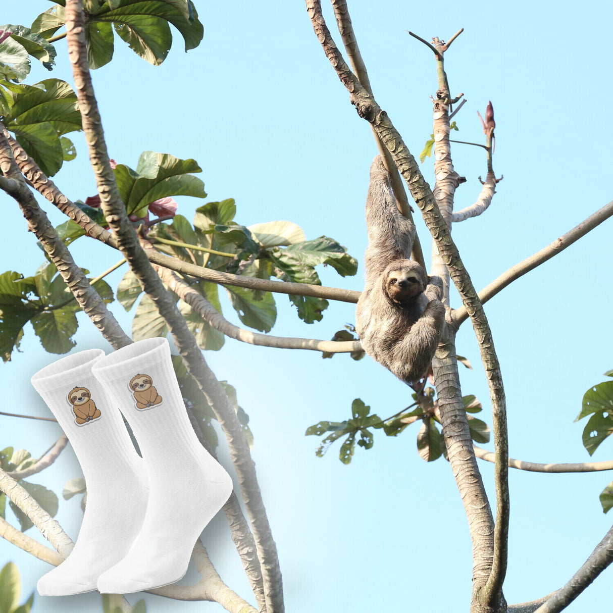 epicsocks Faultier Freude meditierendes Faultier Socken in 37-41 im Paar