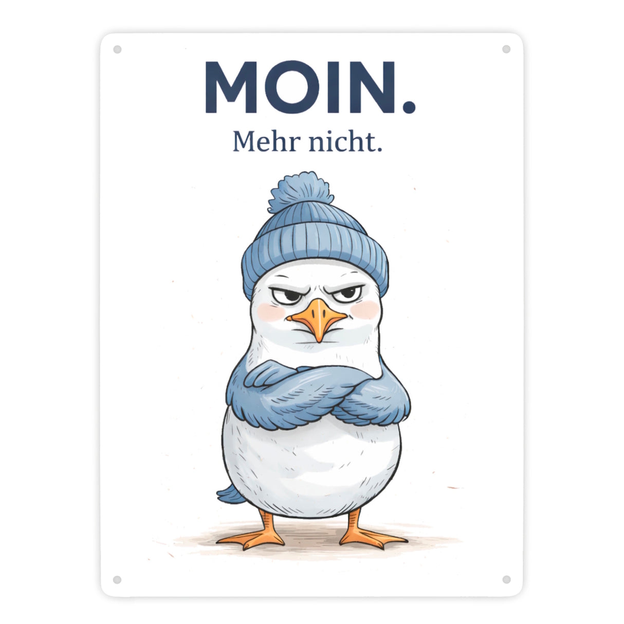 Manfred die Möwe Moin mehr nicht Metallschild in 15x20 cm für Küstenfans