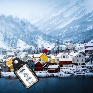 Manfred die Möwe Moin mehr nicht Schlüsselanhänger für Küstenfans