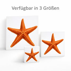 Wasserwelt Seestern Aquarell Holzbild in 10x10 cm zum Stellen oder Aufhängen