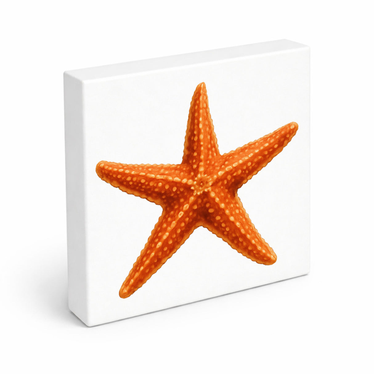 Wasserwelt Seestern Aquarell Holzbild in 10x10 cm zum Stellen oder Aufhängen